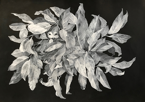 The Gathering by Lindy  Sale | Lethbridge Gallery