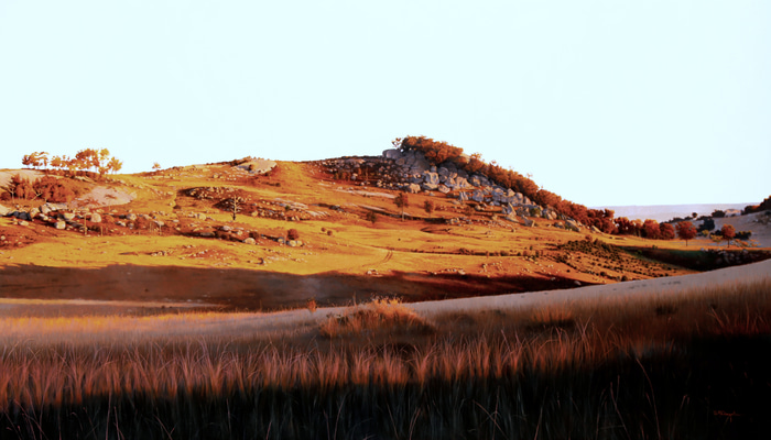 Golden Brown (Texture like sun) - Tenterfield by Scott McDougall | Lethbridge Gallery