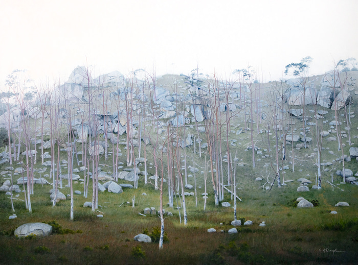 Winter Mist, Tenterfield by Scott McDougall | Lethbridge Gallery