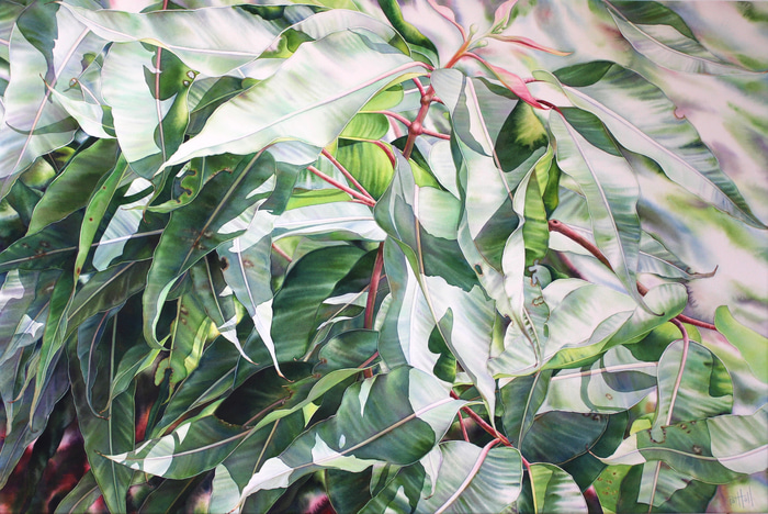 Billowing by Pat Hall | Lethbridge Gallery