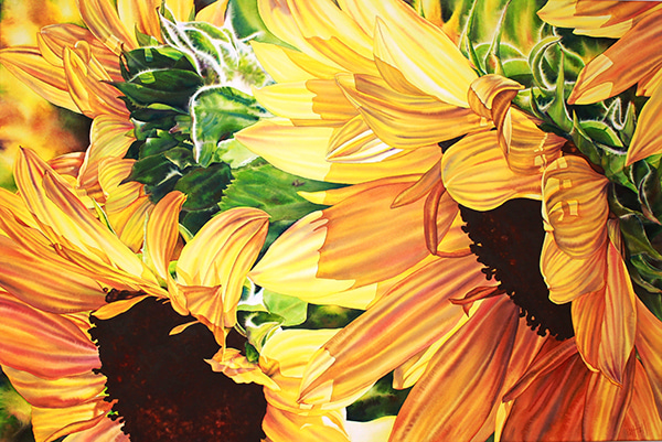 Shining Down by Pat Hall | Lethbridge Gallery