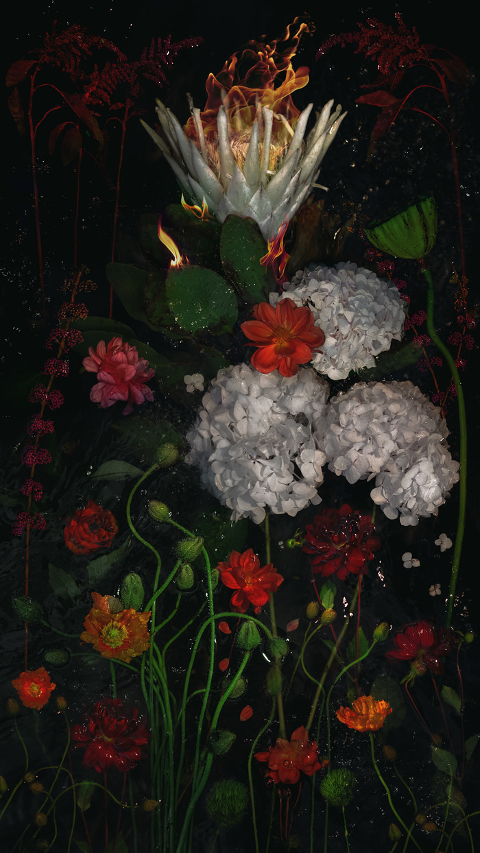 Crown by Beth Mitchell | Lethbridge Gallery