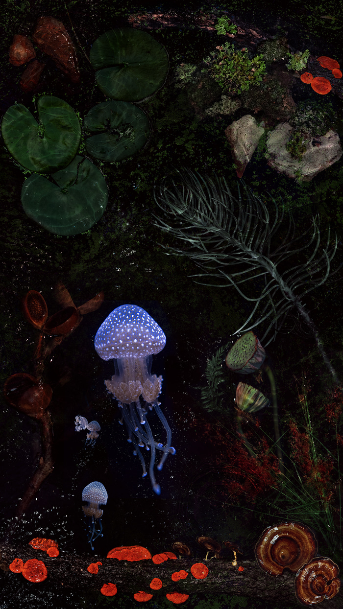 Embryo by Beth Mitchell | Lethbridge Gallery