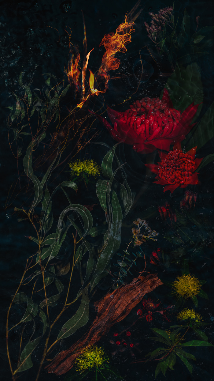 Origin by Beth Mitchell | Lethbridge Gallery