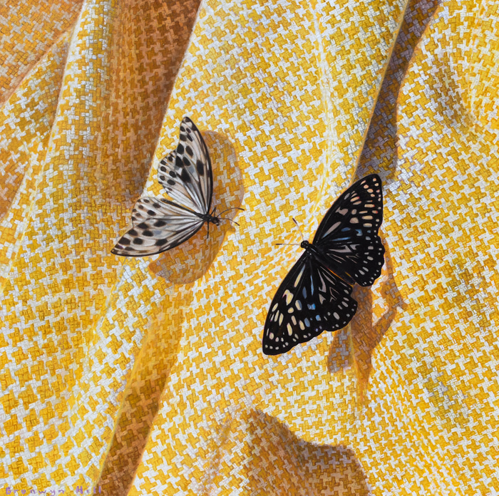Pattern Study by Bronwyn Hill | Lethbridge Gallery