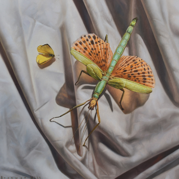 Study of Stick and Butterfly by Bronwyn Hill | Lethbridge Gallery
