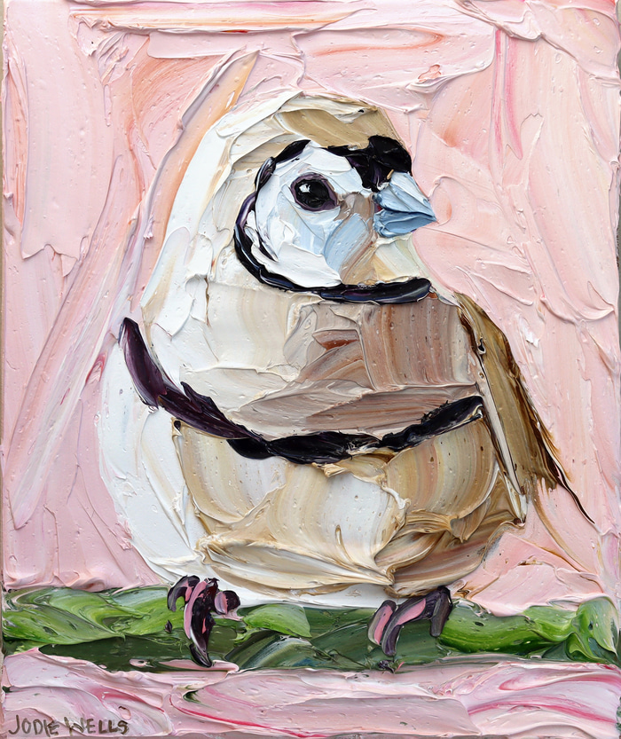 Cherubic Double Barred Finch by Jodie Wells | Lethbridge Gallery