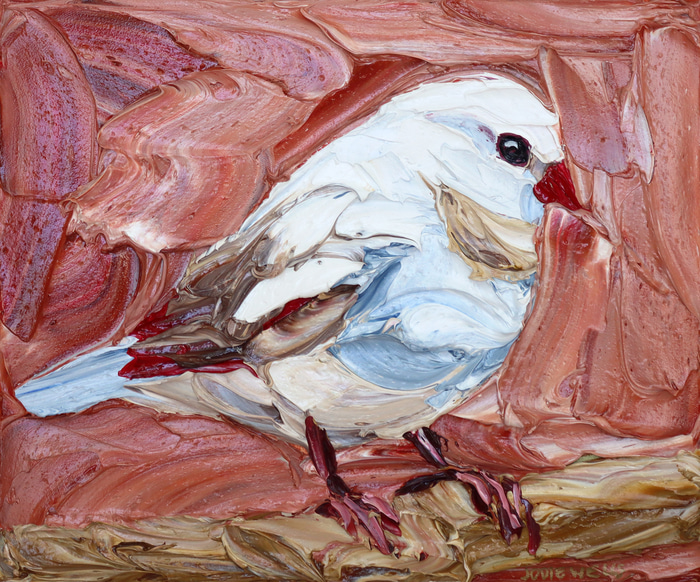 White Zebra Finch by Jodie Wells | Lethbridge Gallery
