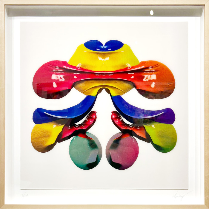 Rorschach Series: Card VIII by CJ Hendry | Lethbridge Gallery