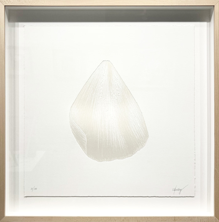 Epilogue Series: Buttercup Etching by CJ Hendry | Lethbridge Gallery