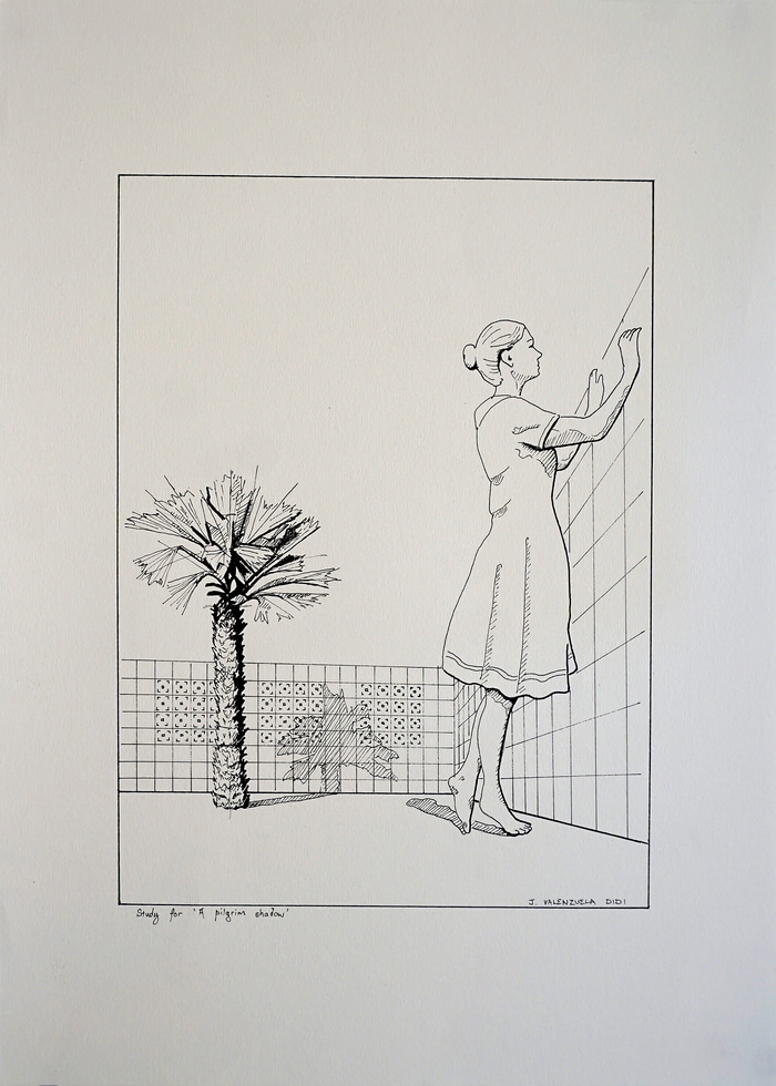 Study for 'A pilgrim shadow' by J Valenzuela Didi | Lethbridge Gallery