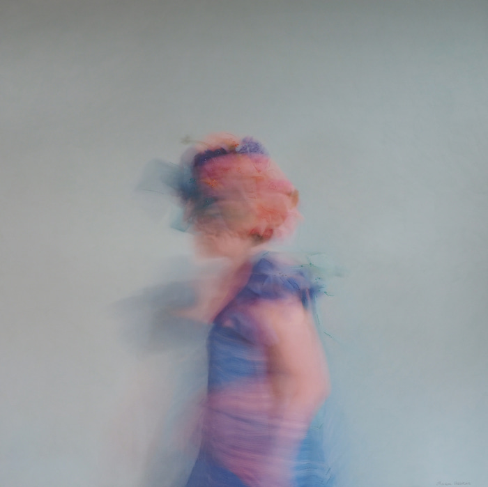 Birdie by Marisa Veerman | Lethbridge Gallery