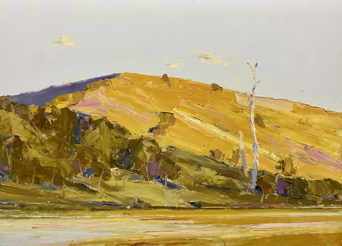 Receding Waters, Lake Moogerah by Todd Whisson | Lethbridge Gallery