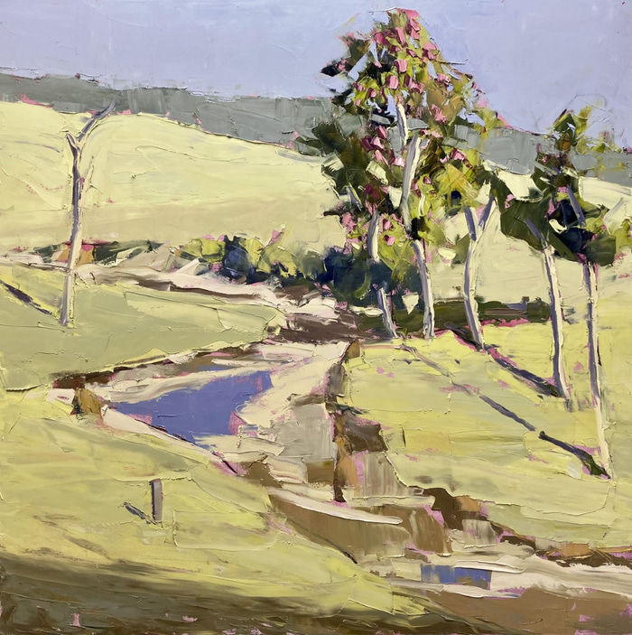 Sunshine on Neara Creek, Kilcoy by Todd Whisson | Lethbridge Gallery