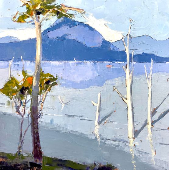 Still Water at Moogerah Dam  by Todd Whisson | Lethbridge Gallery