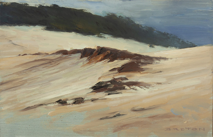 Shifting Sands Study 2 by Scott  Breton | Lethbridge Gallery