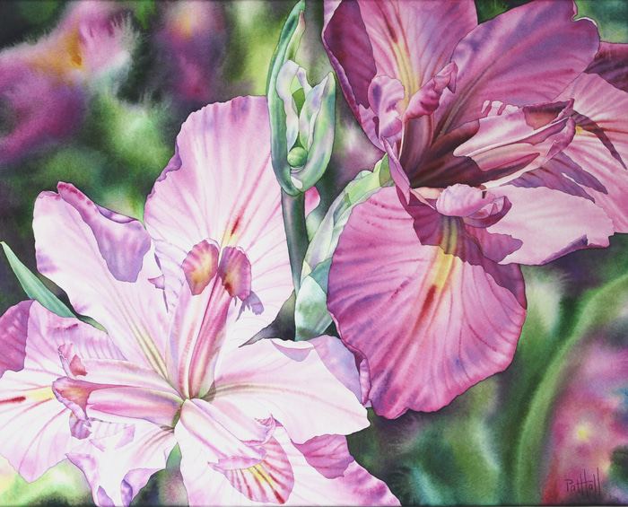 Radiant by Pat Hall | Lethbridge Gallery