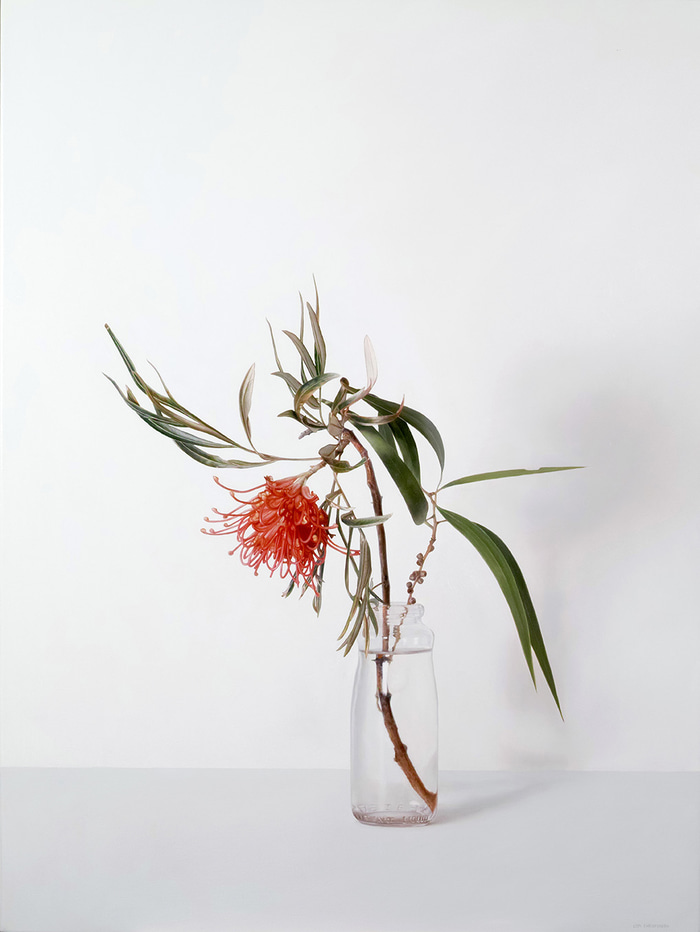 Grevillea in Glass with Melaleuca by Lisa Christensen | Lethbridge Gallery