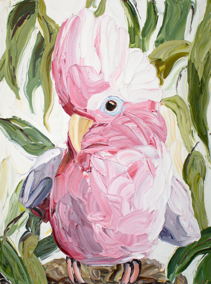 Galah's Serenade by Jodie Wells | Lethbridge Gallery