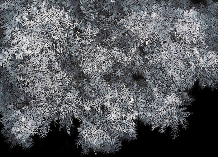 Under the Bower by Lindy  Sale | Lethbridge Gallery