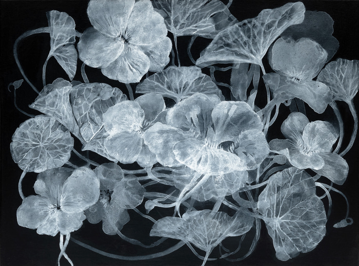 Nasturtiums by Lindy  Sale | Lethbridge Gallery