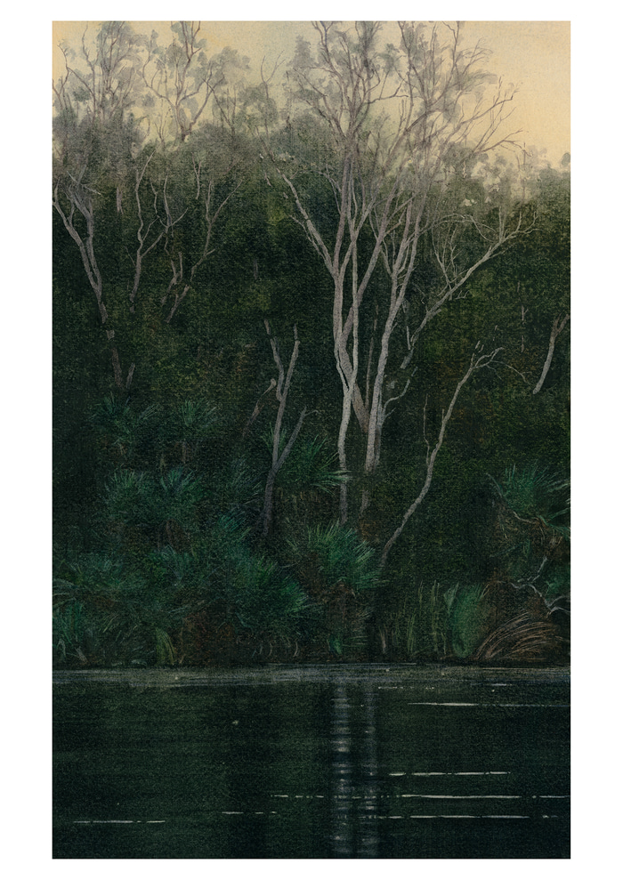 Ord River Trees by Jane Grealy | Lethbridge Gallery