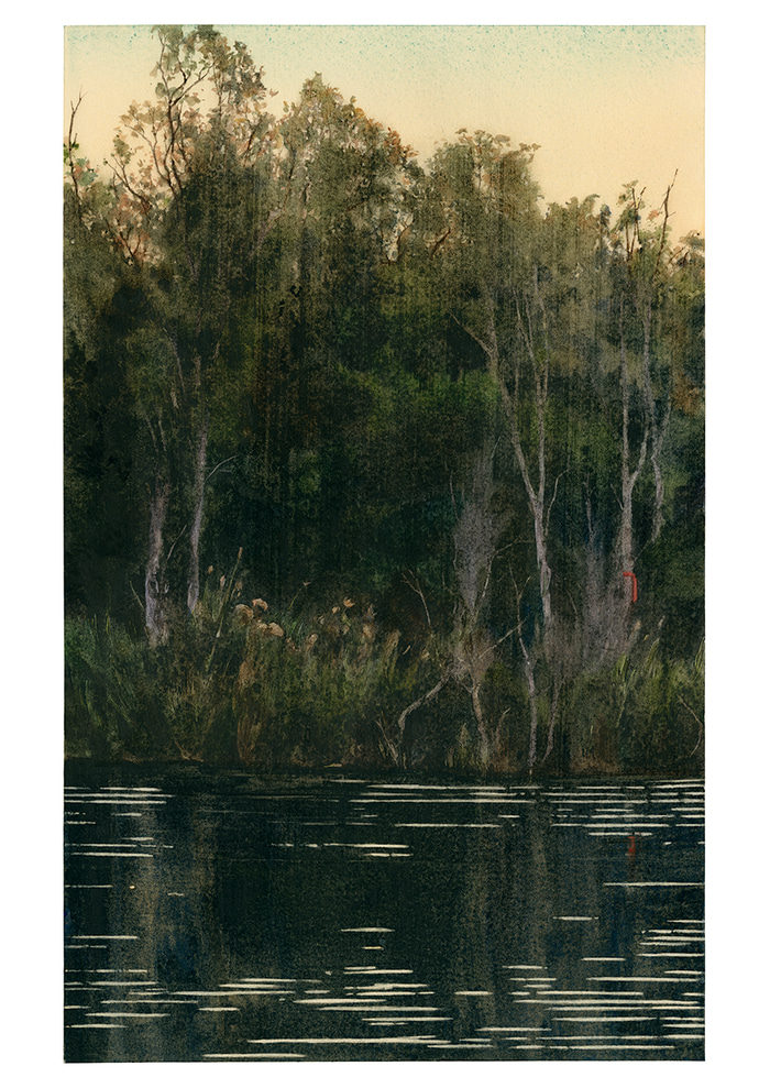 Ord River Red Tag by Jane Grealy | Lethbridge Gallery
