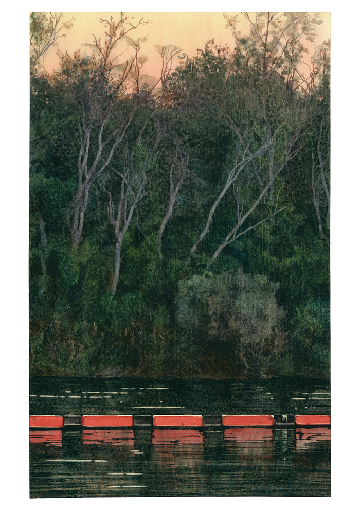 Ord River Barrier by Jane Grealy | Lethbridge Gallery