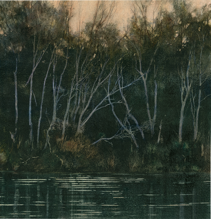 Ord River Trees (Diptych)  by Jane Grealy | Lethbridge Gallery