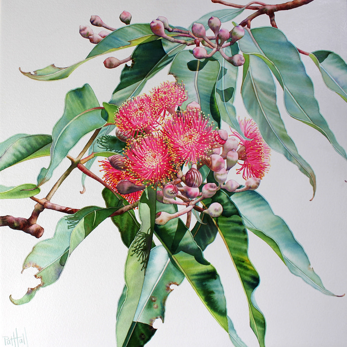 Posy I by Pat Hall | Lethbridge Gallery