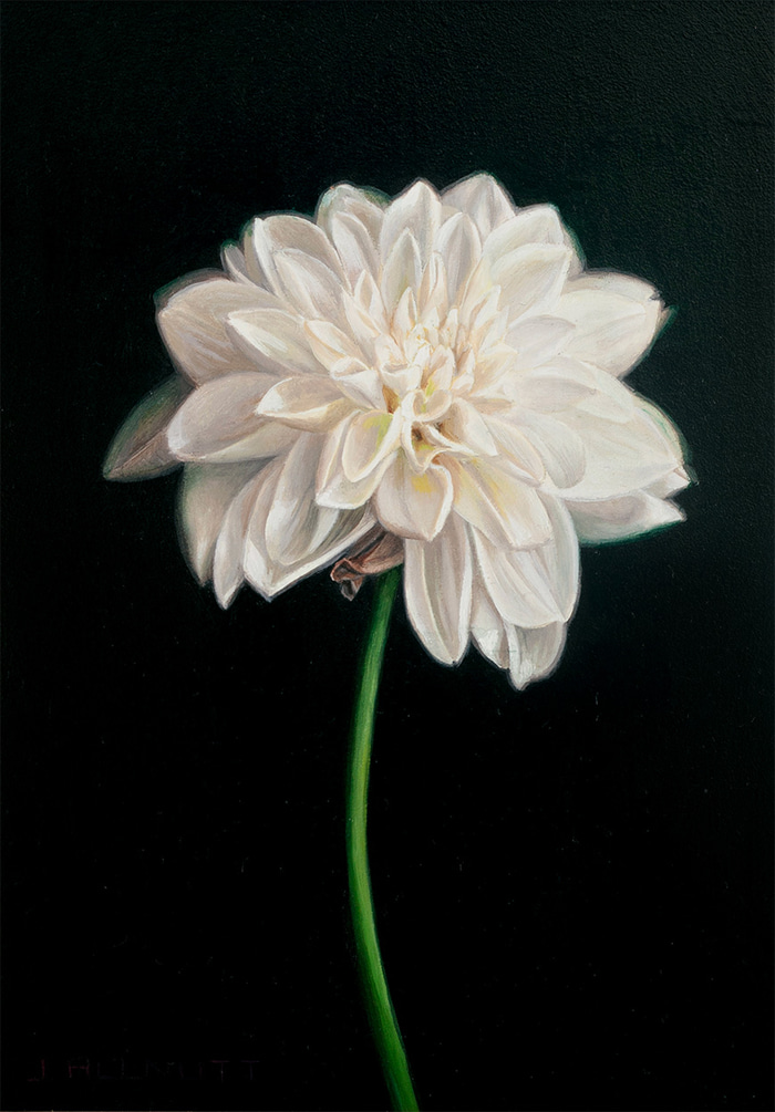 Bright Star by Jennifer Allnutt | Lethbridge Gallery