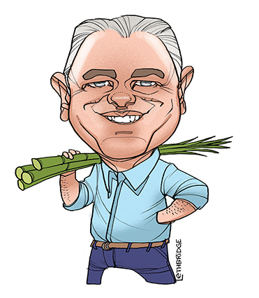 Bruce Wright by Lethbridge Caricatures | Lethbridge Gallery