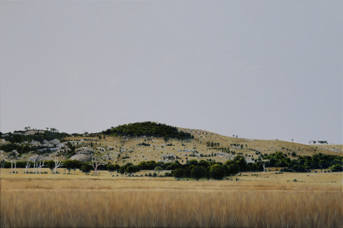 Dark Skies, Tenterfield by Scott McDougall | Lethbridge Gallery