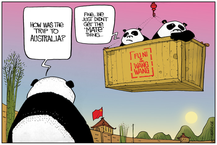 Not Mates by Lethbridge  Cartoons | Lethbridge Gallery
