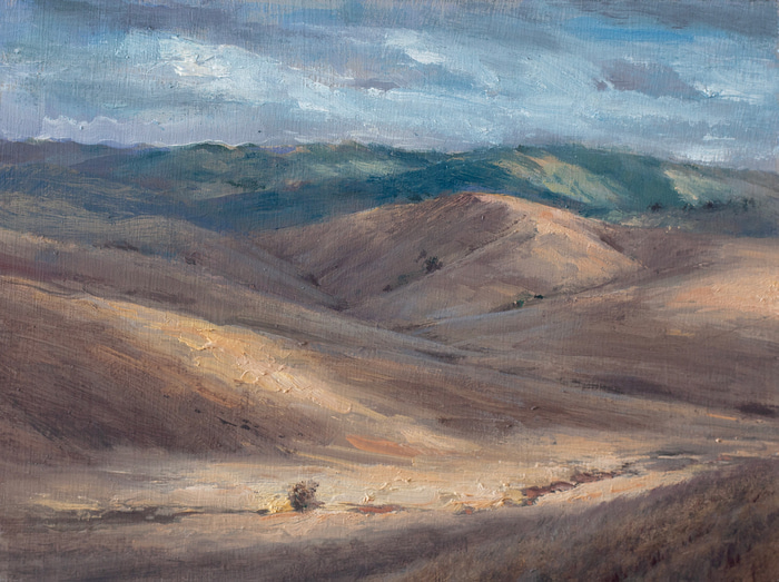 Cloud Shadows Study by Scott  Breton | Lethbridge Gallery