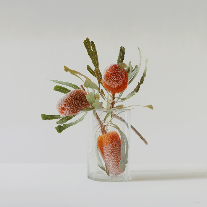 Acorn Banksia in Glass by Lisa Christensen | Lethbridge Gallery