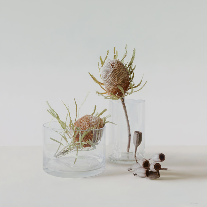 Banksia in Glass with Gumnuts by Lisa Christensen | Lethbridge Gallery