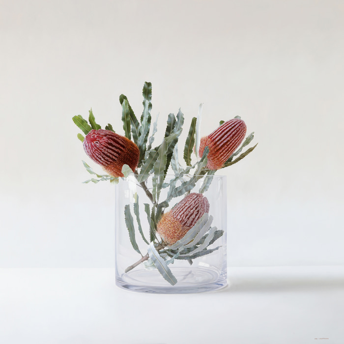 Firewood Banksia in Glass by Lisa Christensen | Lethbridge Gallery