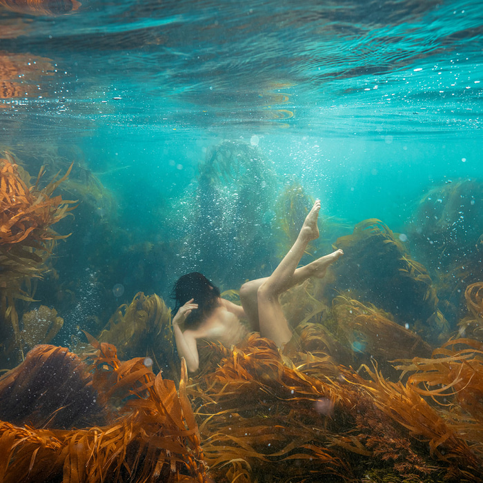 Kelp Forest by Beth Mitchell | Lethbridge Gallery