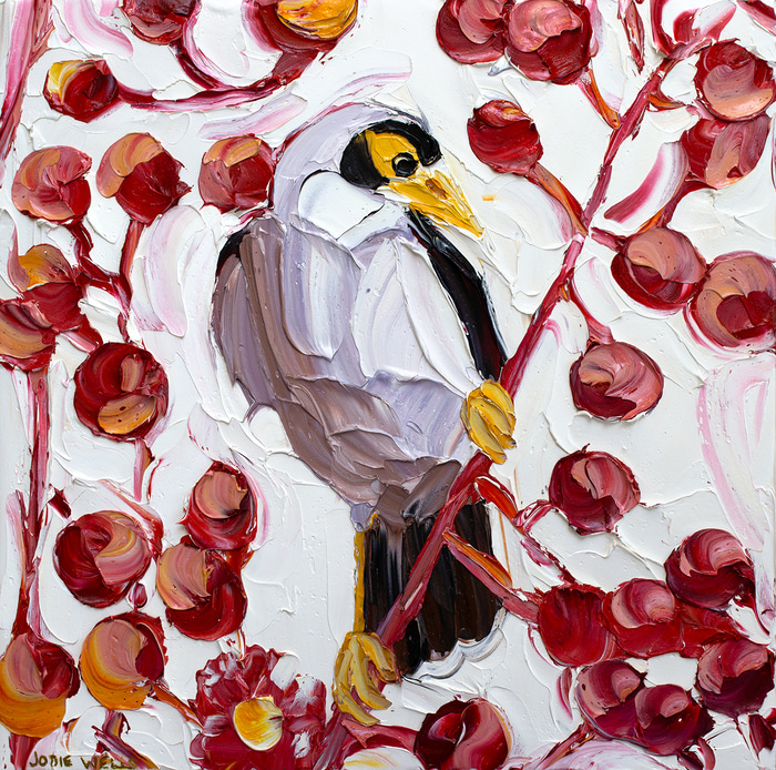 Gum Nut Noisy Miner by Jodie Wells | Lethbridge Gallery
