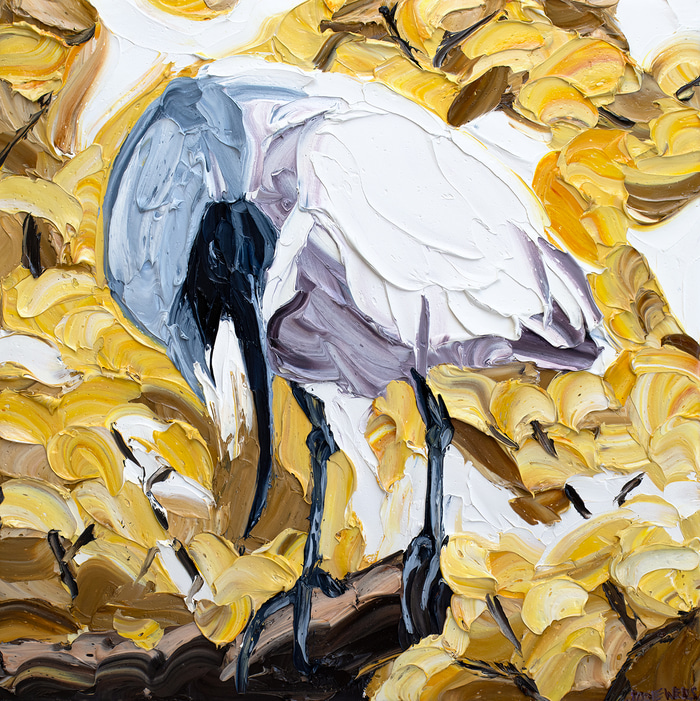 Ibis in Golden Trumpet Tree by Jodie Wells | Lethbridge Gallery