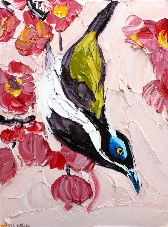 Red Gum Blossom - Blue Faced Honey Eater by Jodie Wells | Lethbridge Gallery