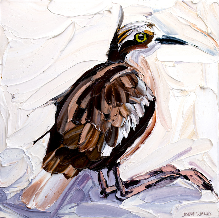 Seated Bush Stone-curlew by Jodie Wells | Lethbridge Gallery