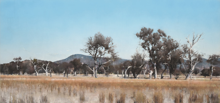 Landscape, Tidbinbilla by Nick Offer | Lethbridge Gallery