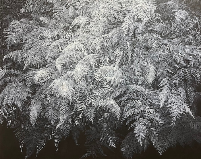 Forest Fringe by Lindy  Sale | Lethbridge Gallery