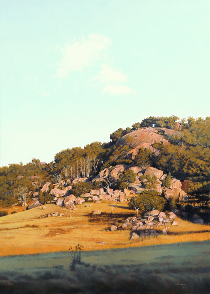 Rise, Tenterfield NSW by Scott McDougall | Lethbridge Gallery