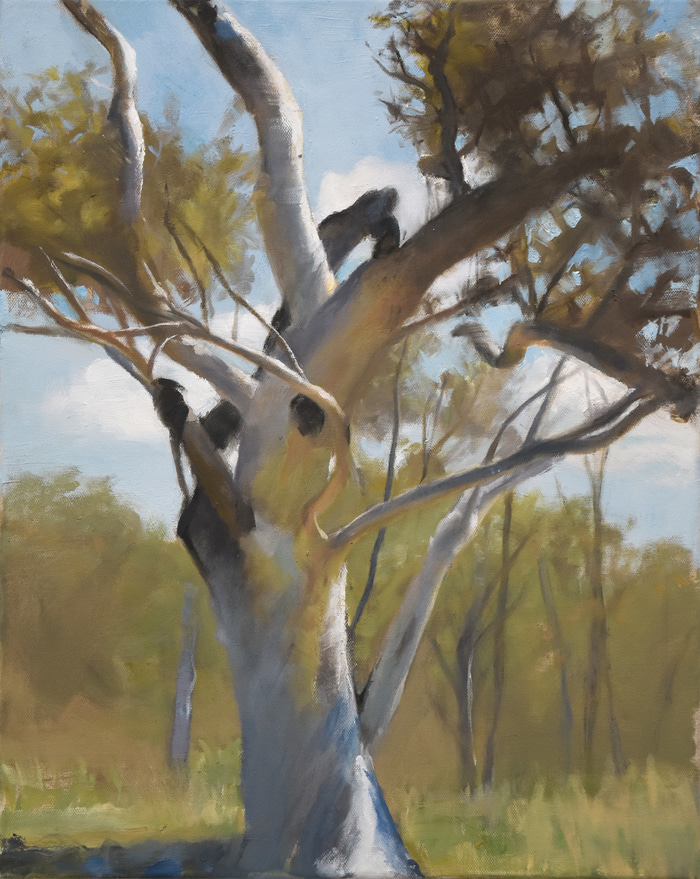 Tree, Callum Brae by Nick Offer | Lethbridge Gallery