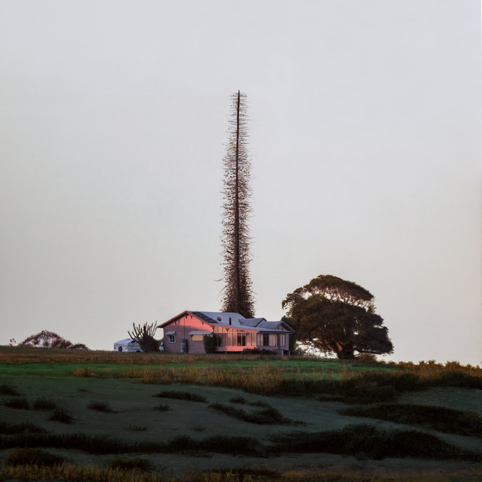 House on Hill by Riley P | Lethbridge Gallery