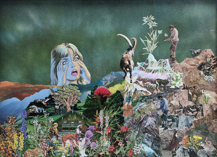 Eidelweis by Marlies Oakley | Lethbridge Gallery