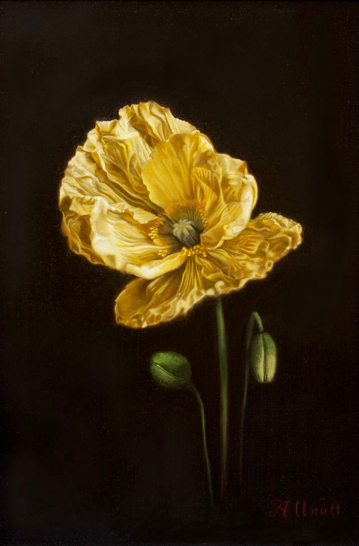 Nothing Gold Can Stay by Jennifer Allnutt | Lethbridge Gallery